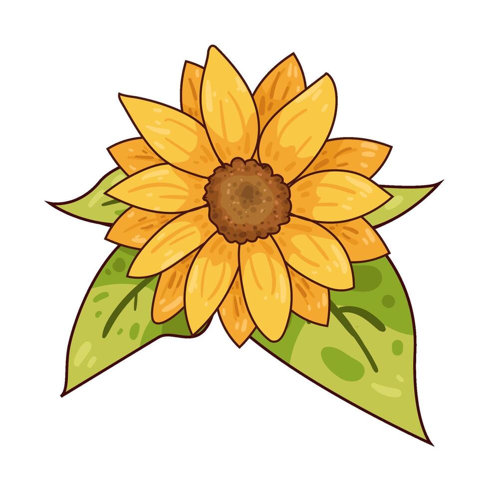 Illustration of sunflower vector