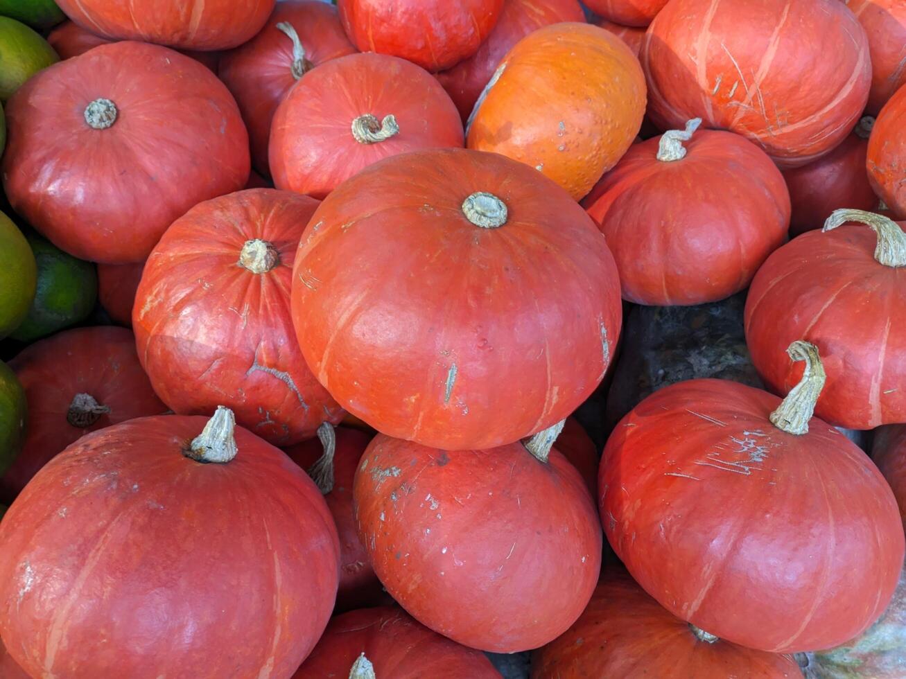 a pile of pumpkins close up photo