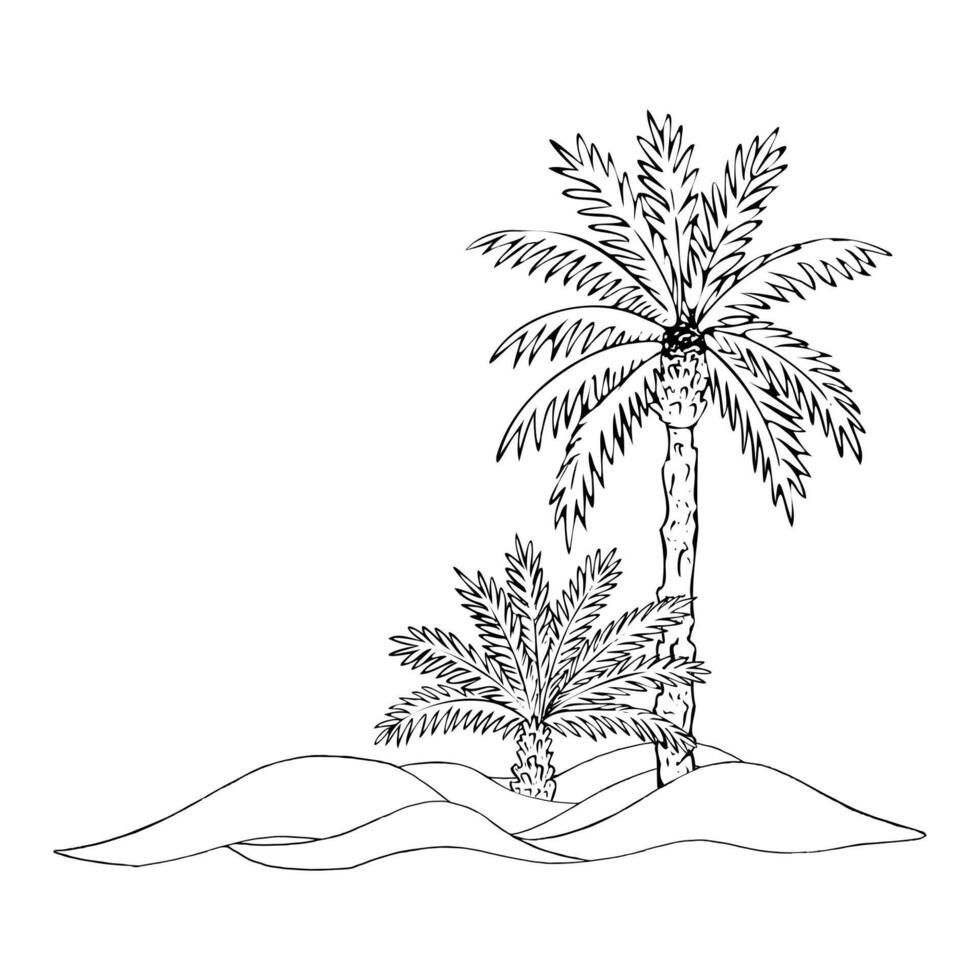 Black and white palm trees in desert or on beach sand landscape illustration template. Hand drawn summer vacation on island ink sketch vector