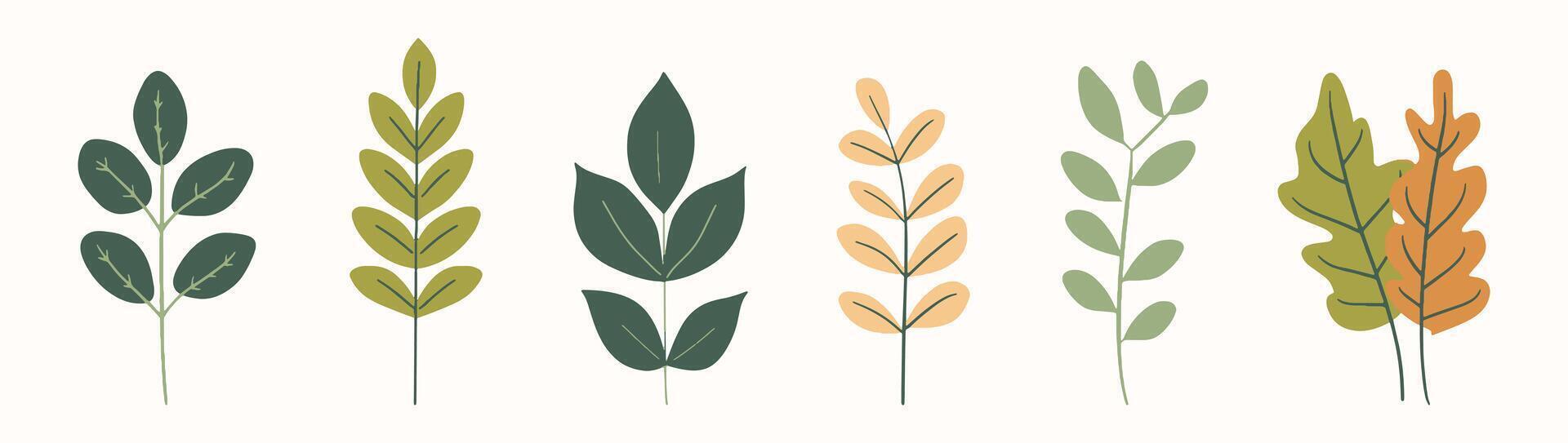 Tree collection hand drawn flat design element. botanical set of bare trees and ones with leaves and lush limited pastel color vector