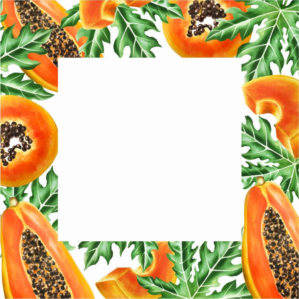 Marker frame and templates with sweet ripe slice of papaya with grains in watercolor style. Hand drawn realistic tasty organic illustration of exotic tropical fruit isolated on background. For d vector