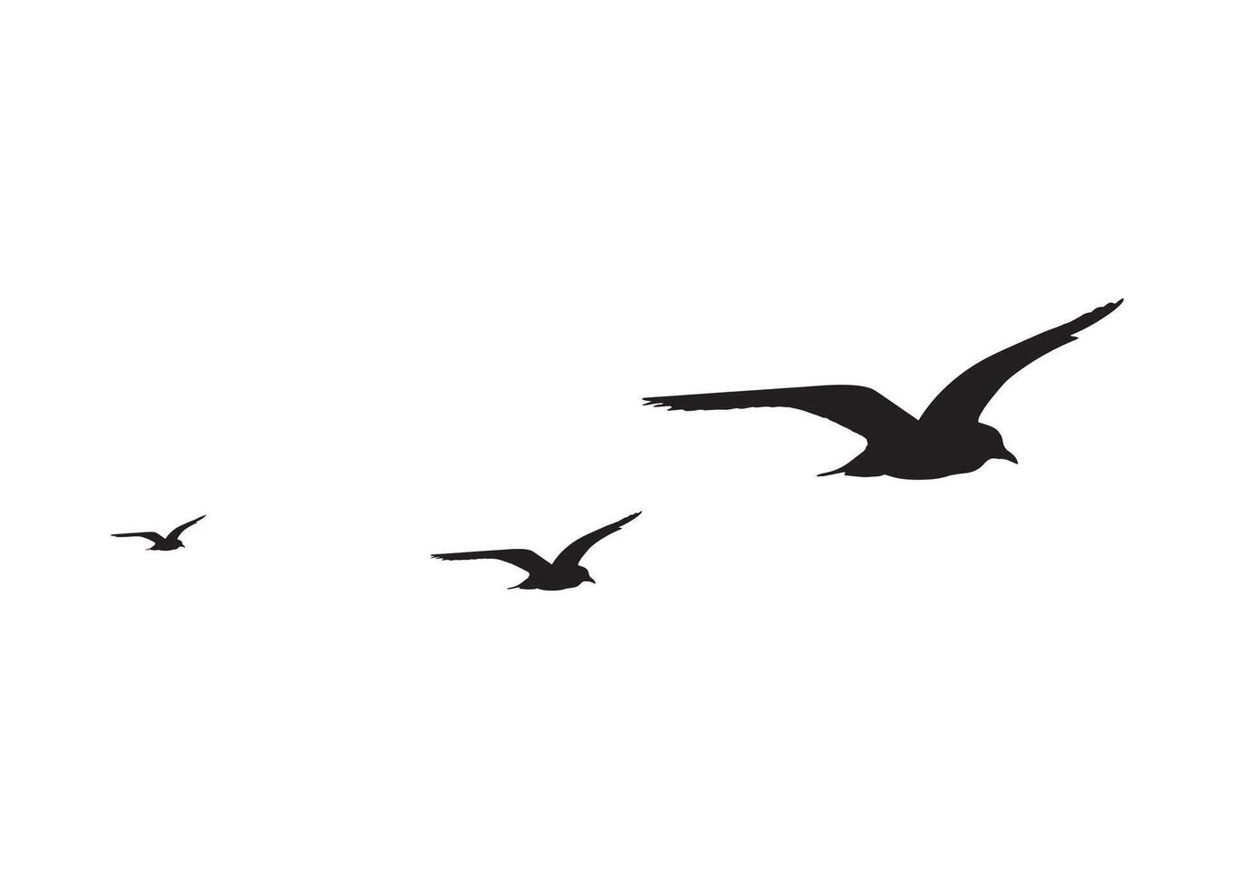 flying birds Silhouette, art, graphics vector