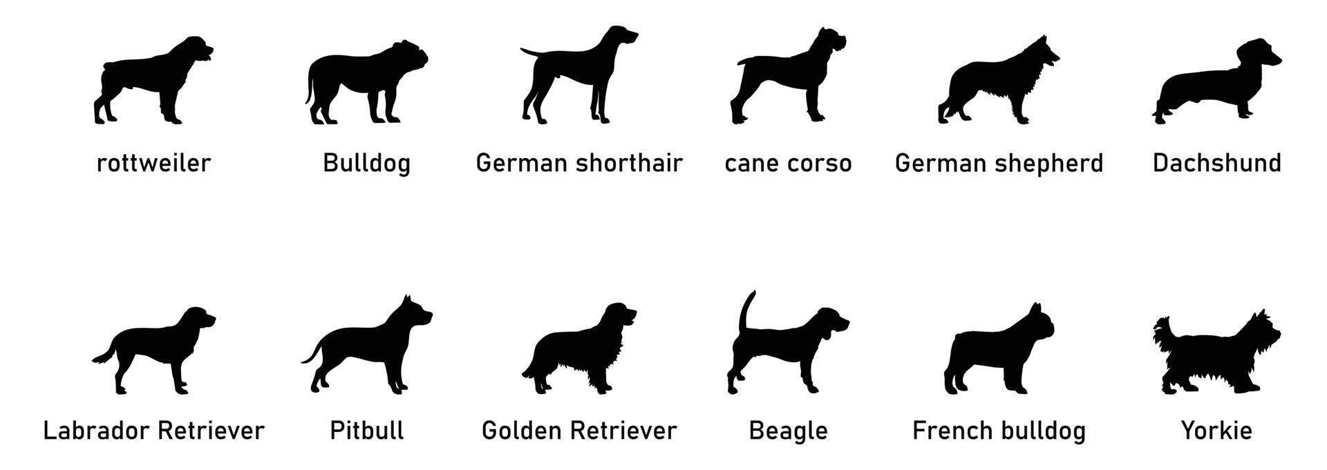 12 Dog Breed Names Silhouette art vector