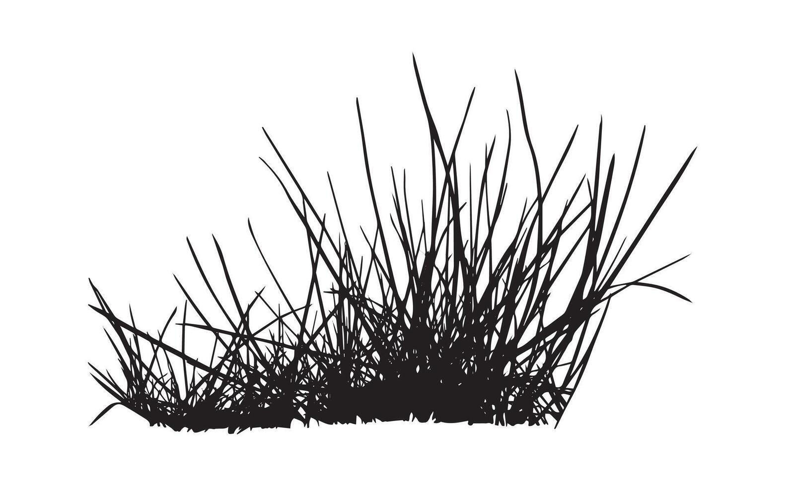 ornamental grass silhouette art graphics vector