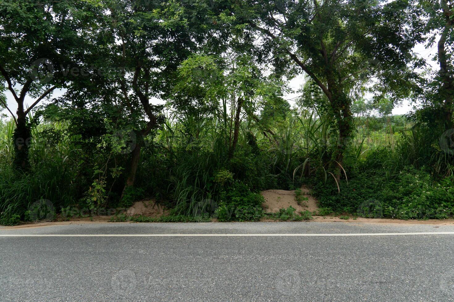 Horizontal view of asphalt road in Thailand. Background of parallel ground path and green grass and trees. And next background under view of white sky. photo