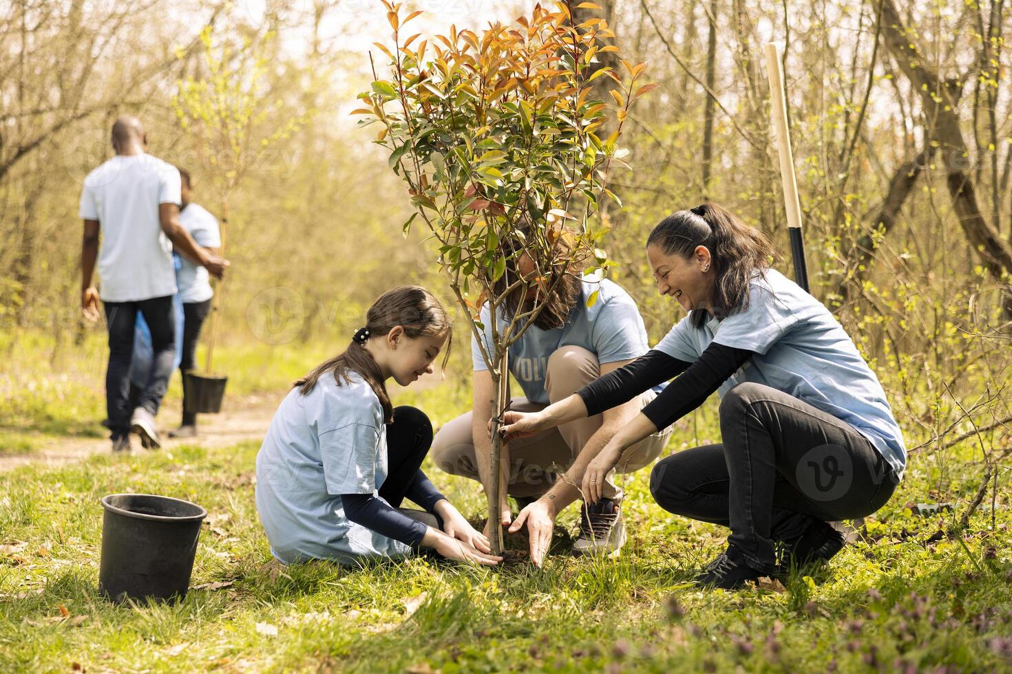 Volunteers and a little kid planting tree and covering hole in the ground, contributing to reforestation and increasing vegetation in the woods. Dedicated people working together for the nature. photo