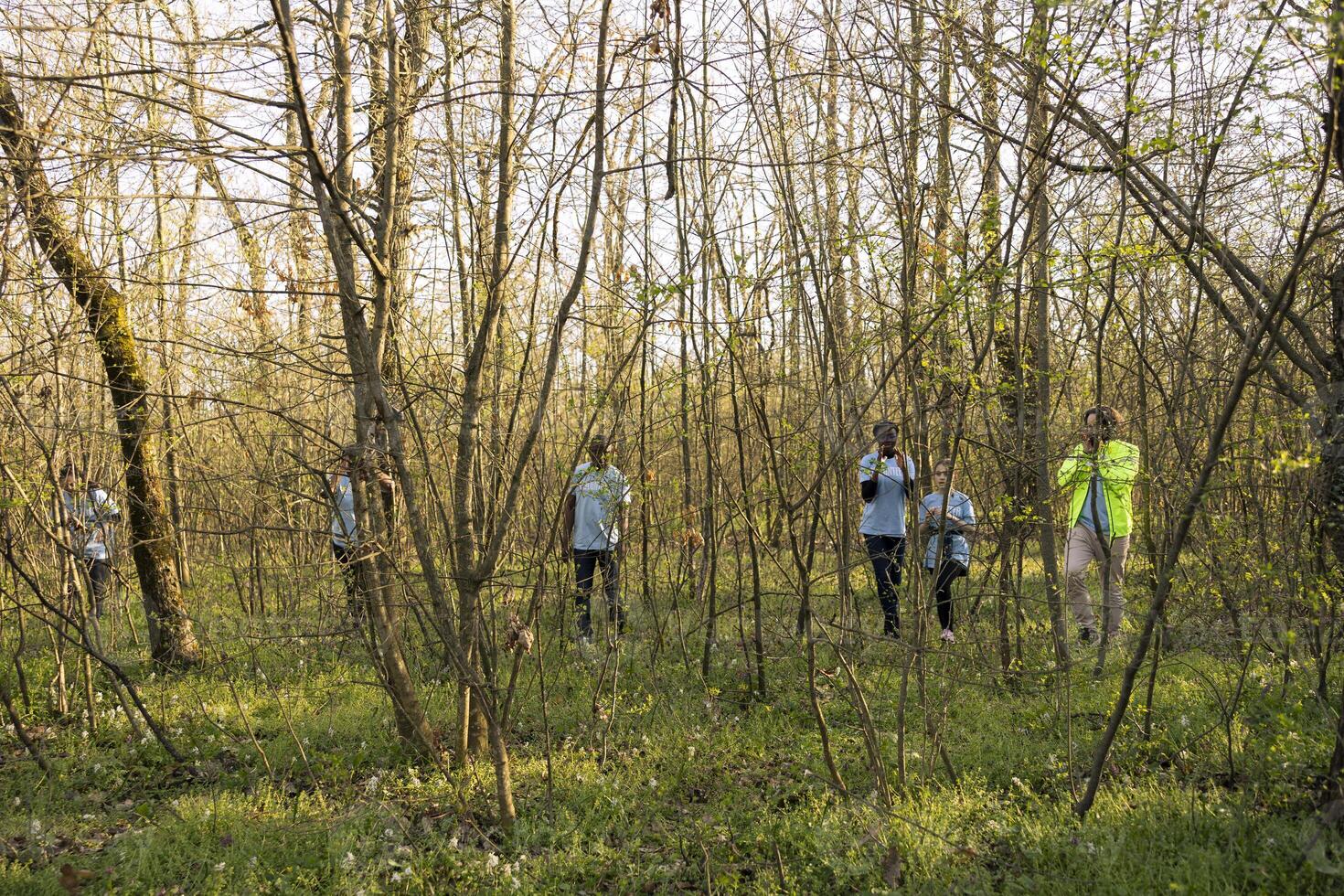 Team of lifesavers rescuers searching for a missing person, calling their name in the forest and going through the trees to track footsteps. Search squad members looking for a lost victim. photo