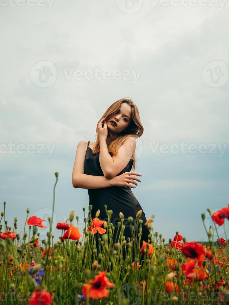 Beautiful young girl in a black evening dress posing against a poppy field on a cloudy summer day. Portrait of a female model outdoors. Rainy weather. Gray clouds. photo