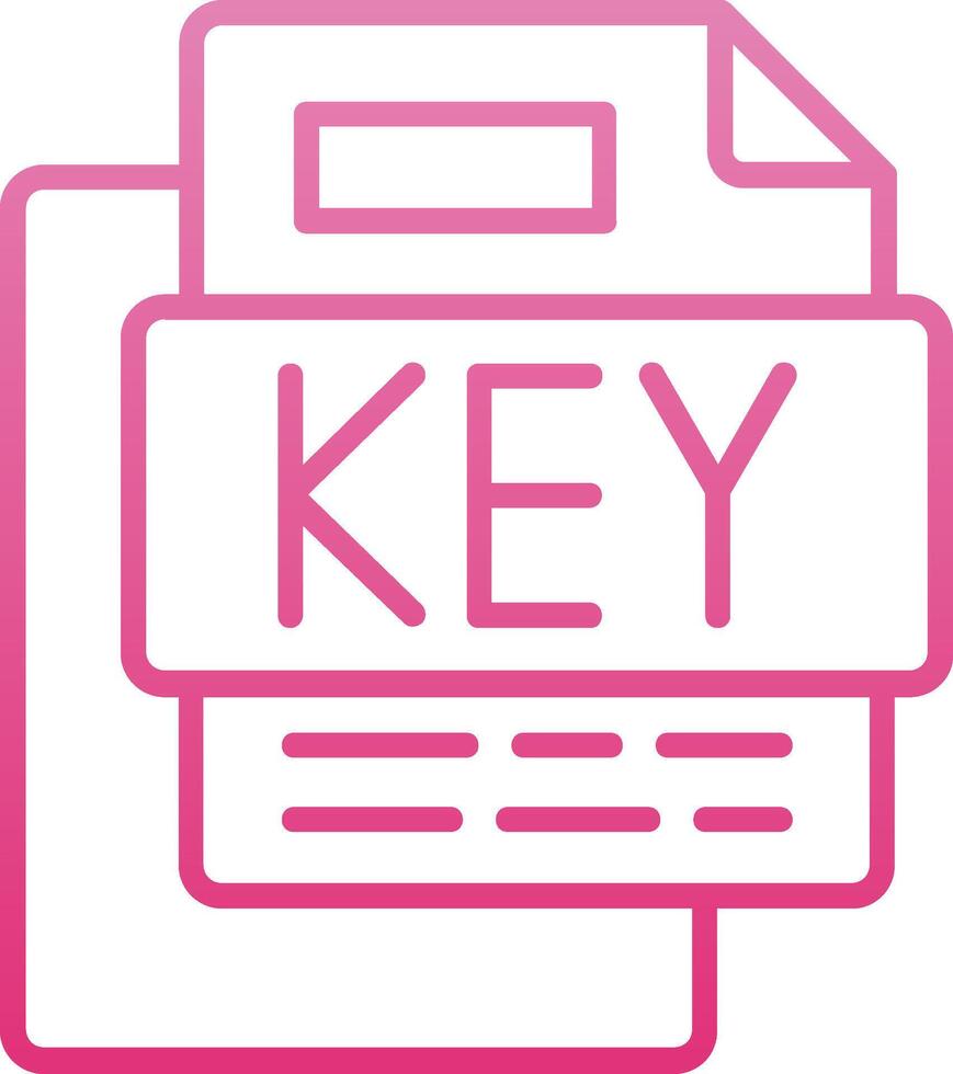 KEY File Line Gradient Icon vector