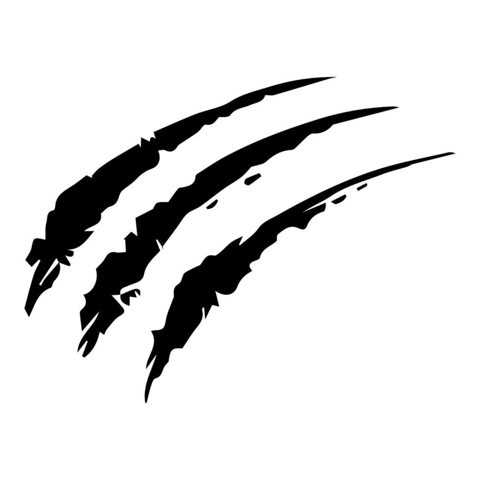 Claw marks and torn scratches. Cracks form animal claw scratches, wild beast paw marks with sharp fissures texture, damaged breaks and hollow scraps, black on white vector