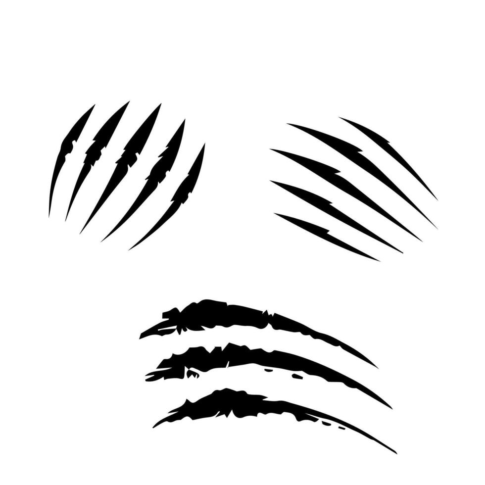 Claw marks and torn scratches. Cracks form animal claw scratches, wild beast paw marks with sharp fissures texture, damaged breaks and hollow scraps, black on white vector
