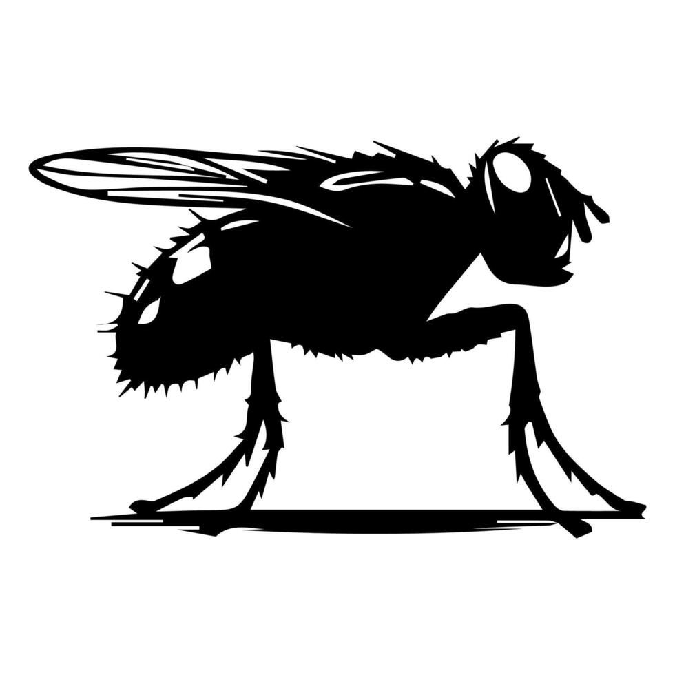 Fly, housefly, Musca domestica isolated on white background vector