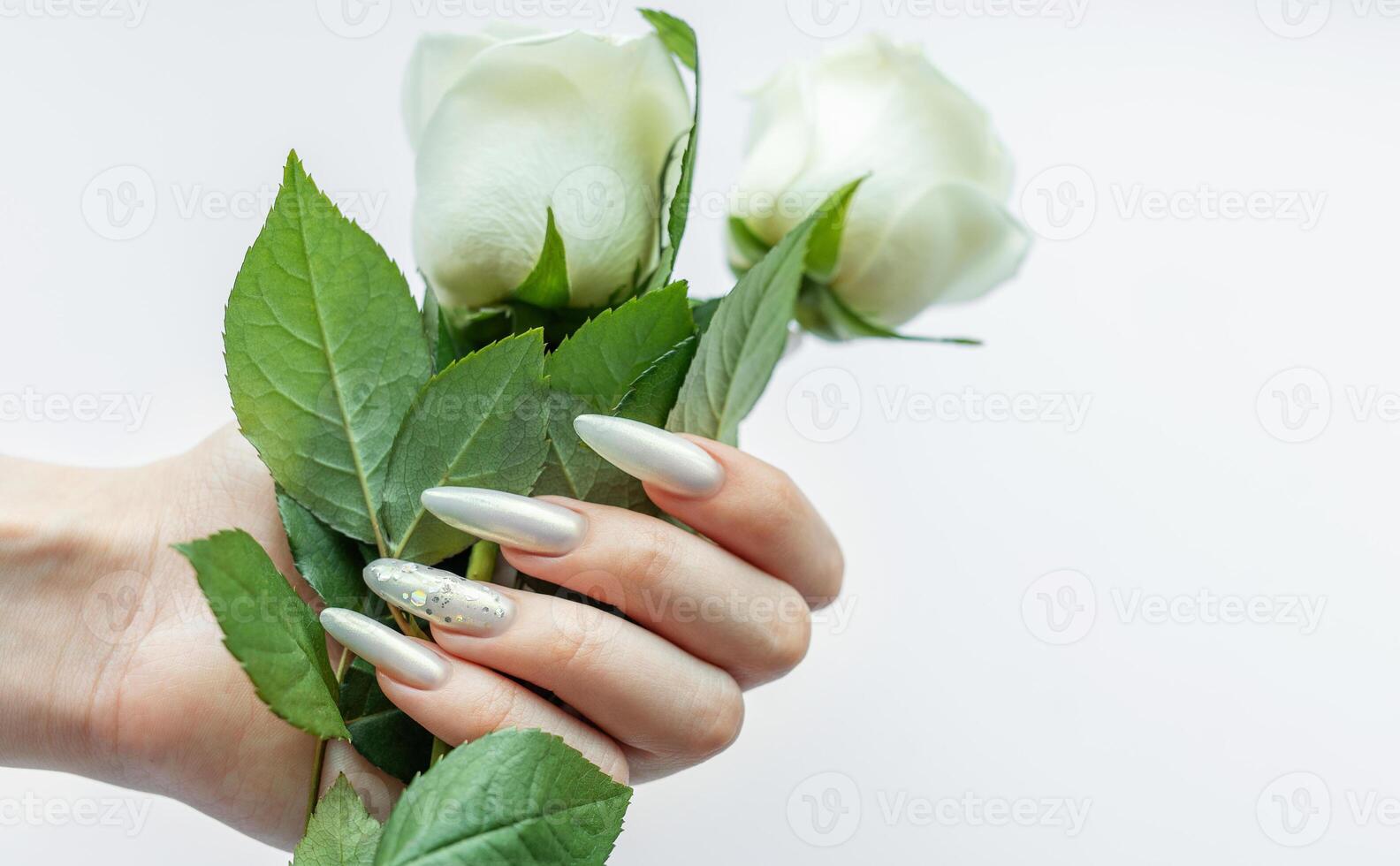 Female Hands on a white background with beautiful pearl manicure and white roses photo