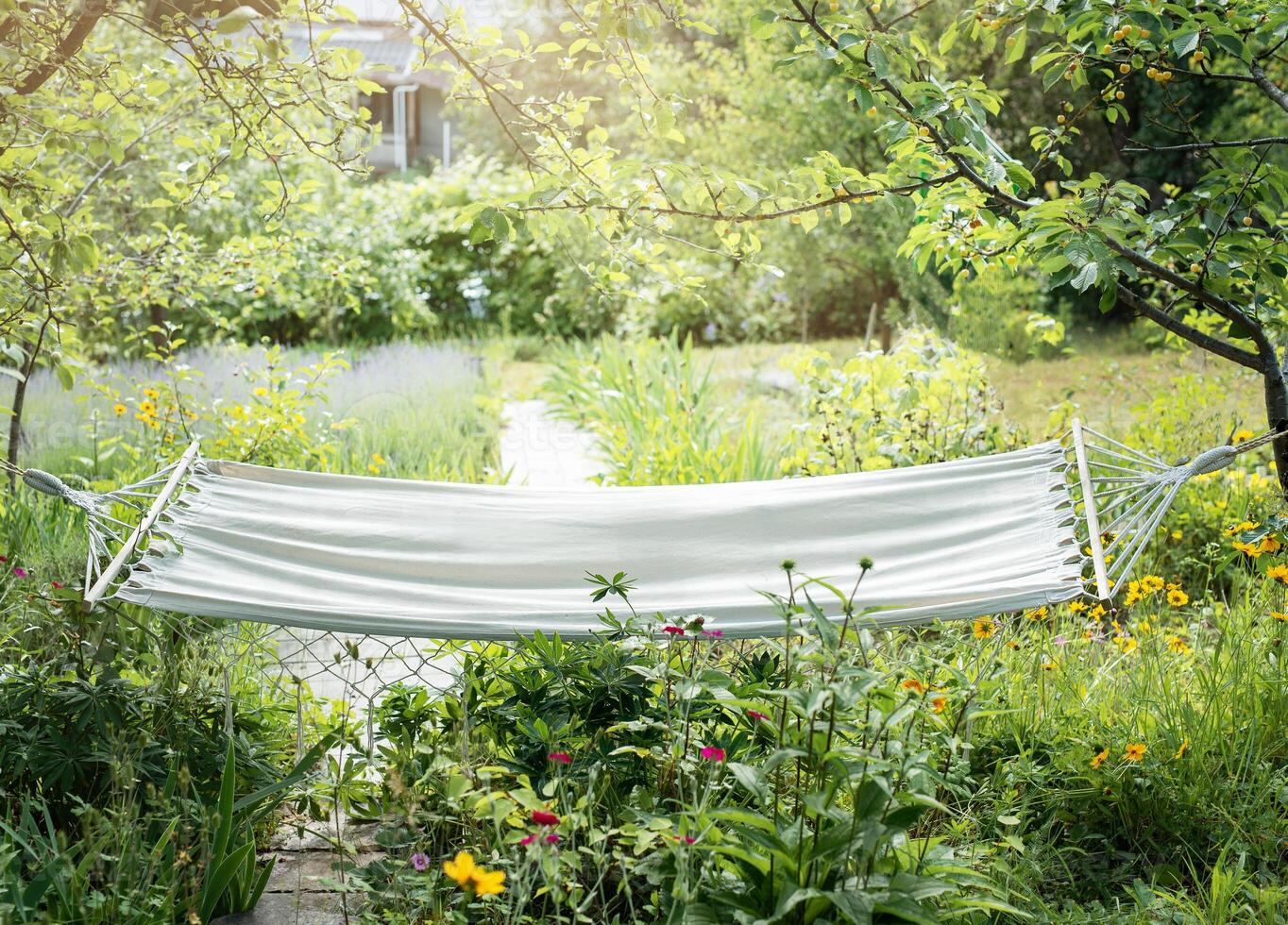 Beautiful landscape with hammock in the summer garden. photo