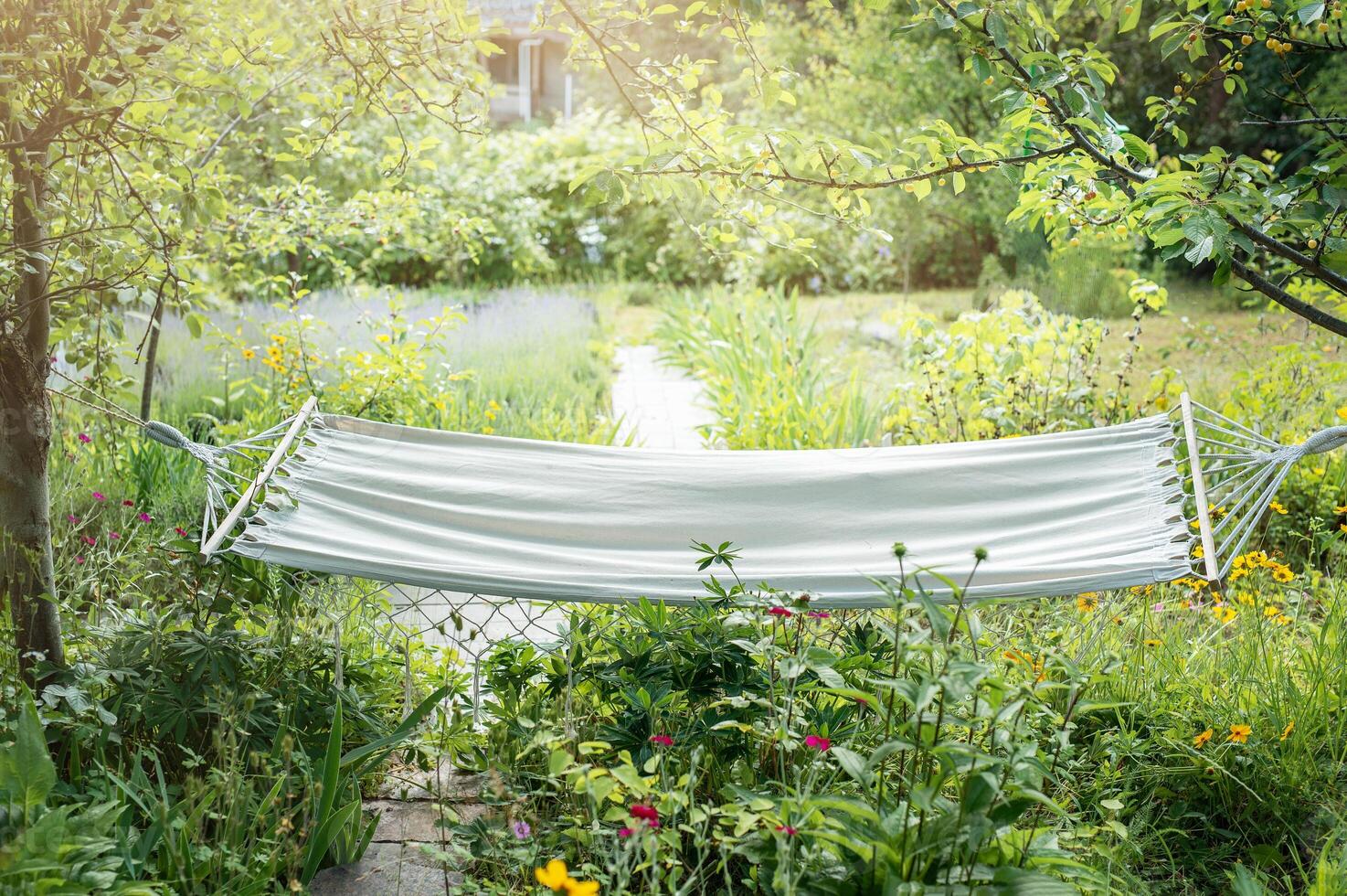 Beautiful landscape with hammock in the summer garden. photo
