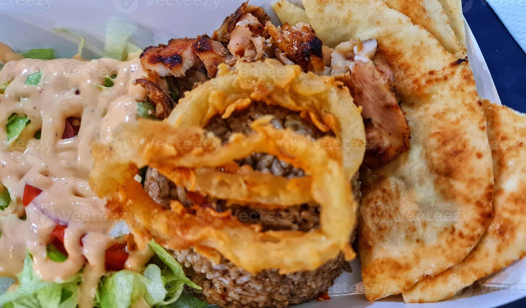 The food was bought from Doner Kebab, which contained briyani rice, roti canai, photo