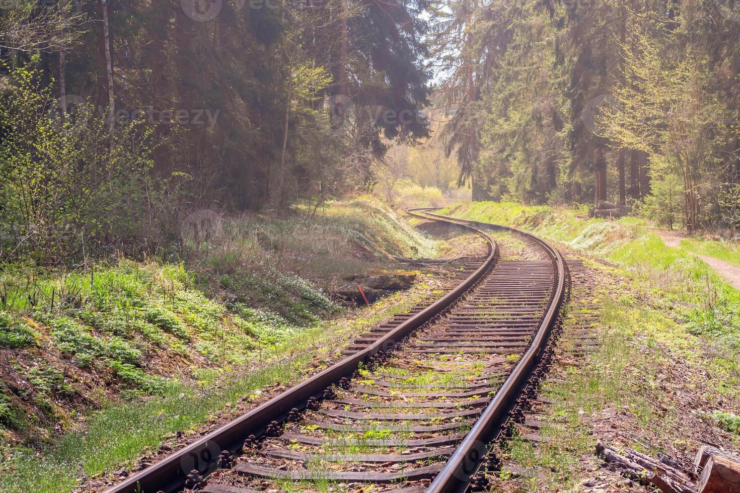 railway - the train tracks wind around curves through the forest photo