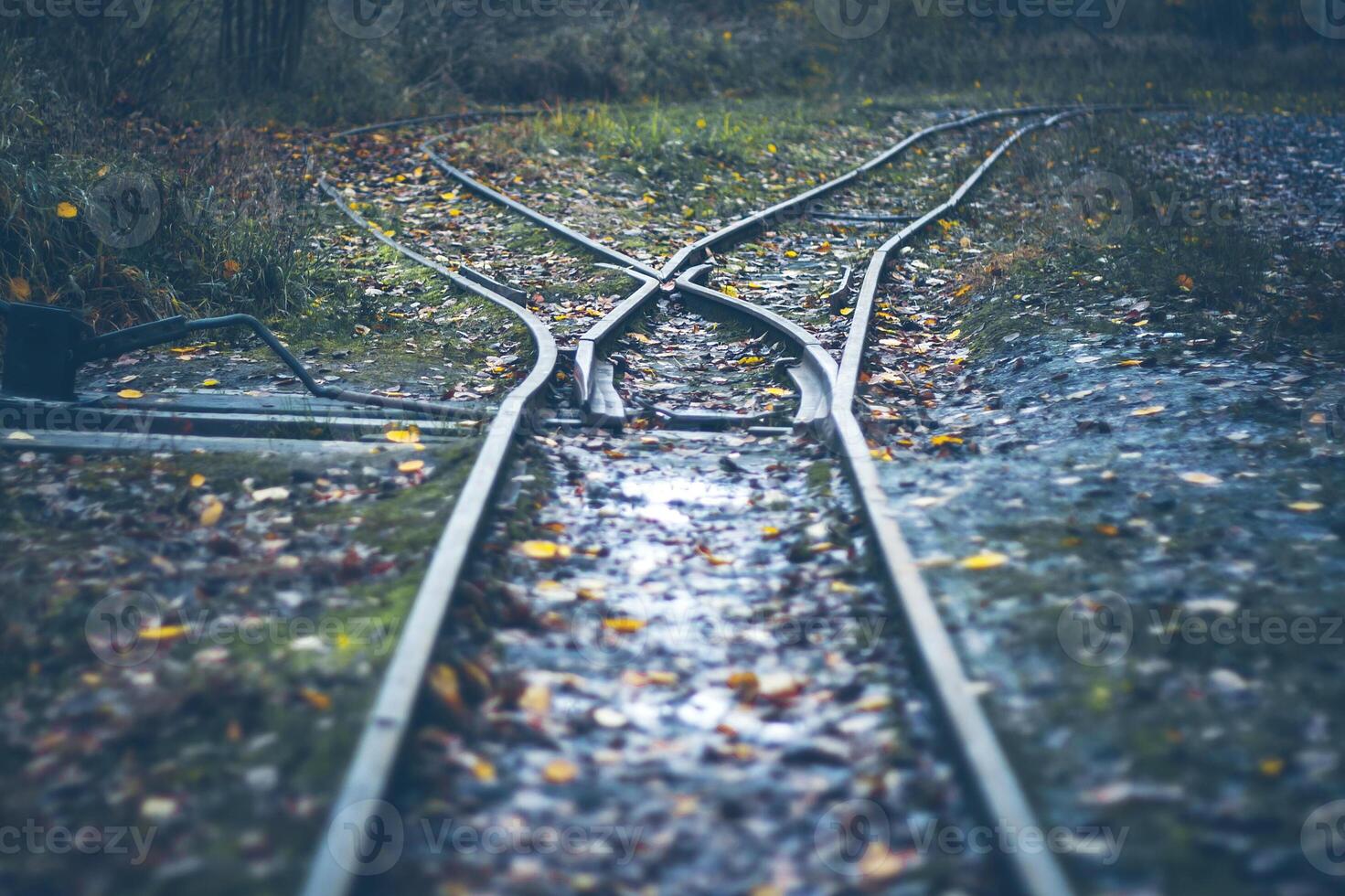 narrow gauge railway - railway turnout - rails in the autumn forest photo