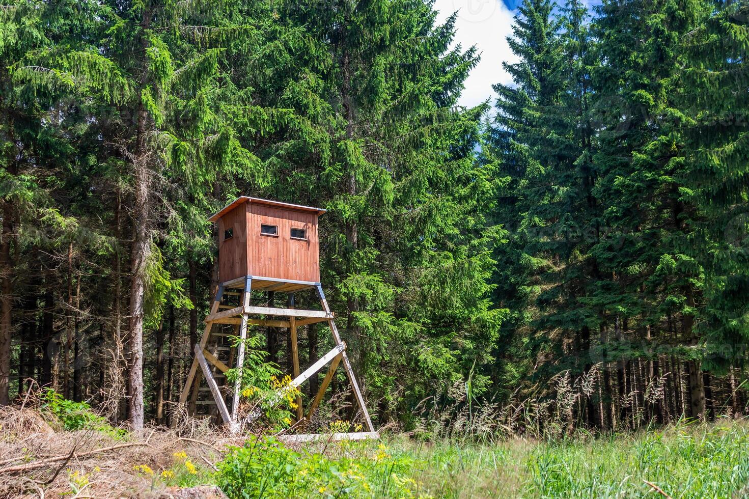 wooden hunting blind on the edge of the forest, near the meadow photo