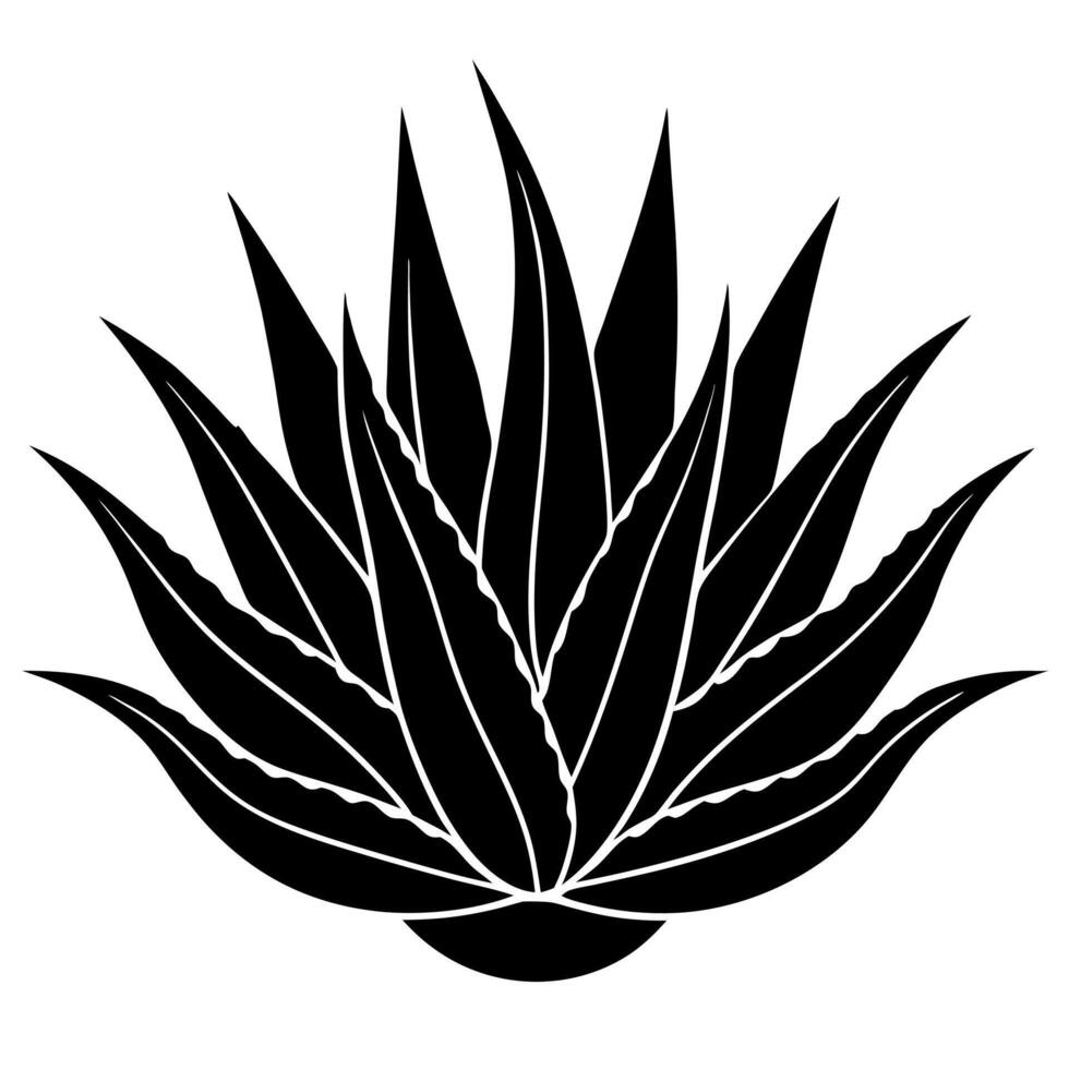 aloe plant black silhouette illustration vector