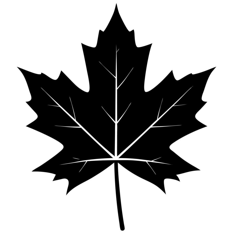 maple leaf black silhouette illustration vector