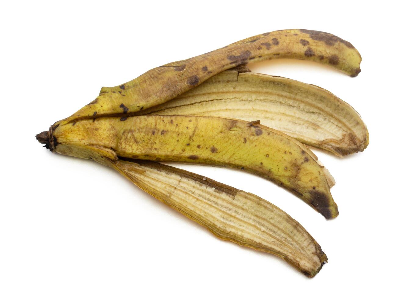 Banana peel, isolated on white background photo