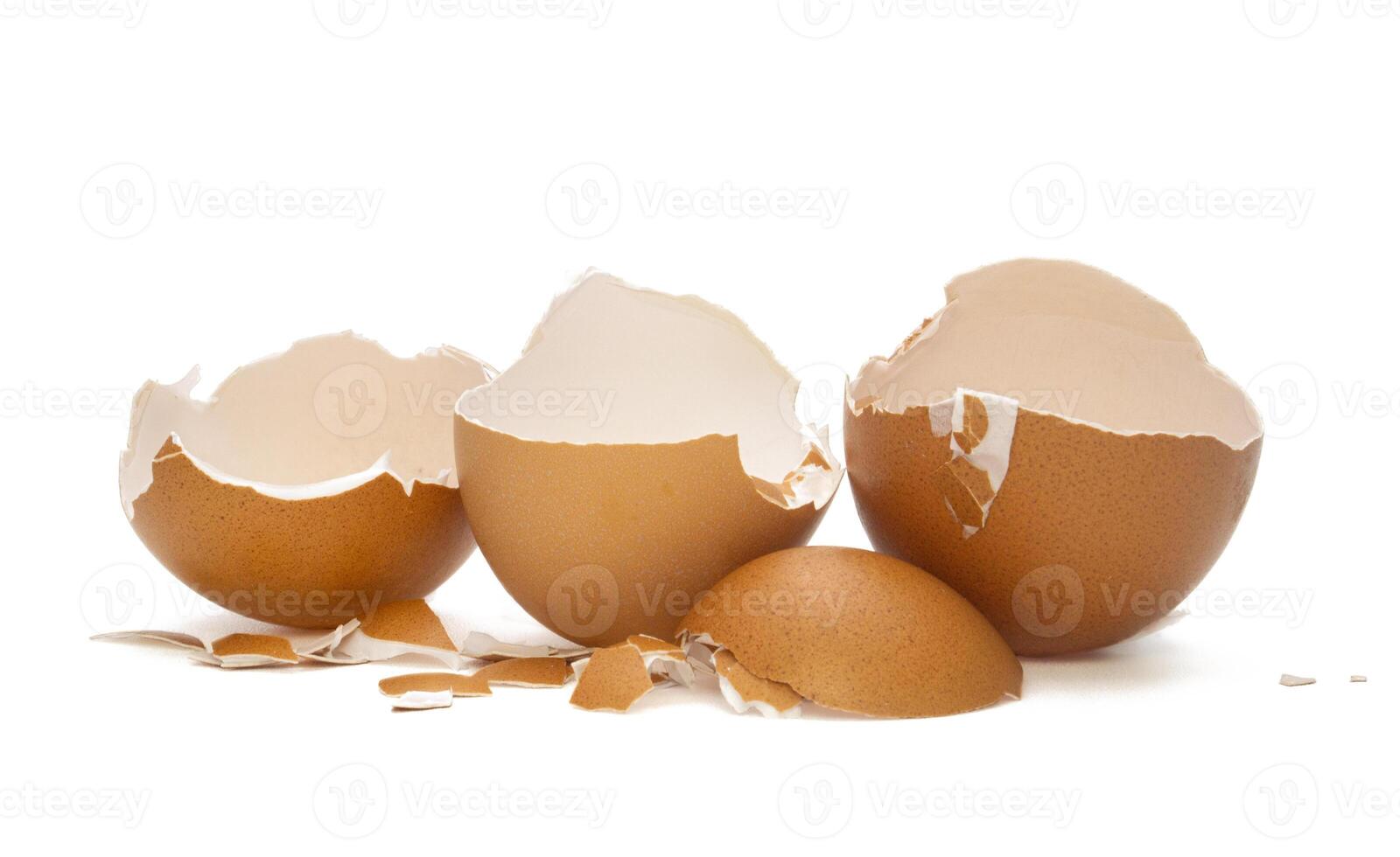 Cracked egg shells, isolated on white background photo