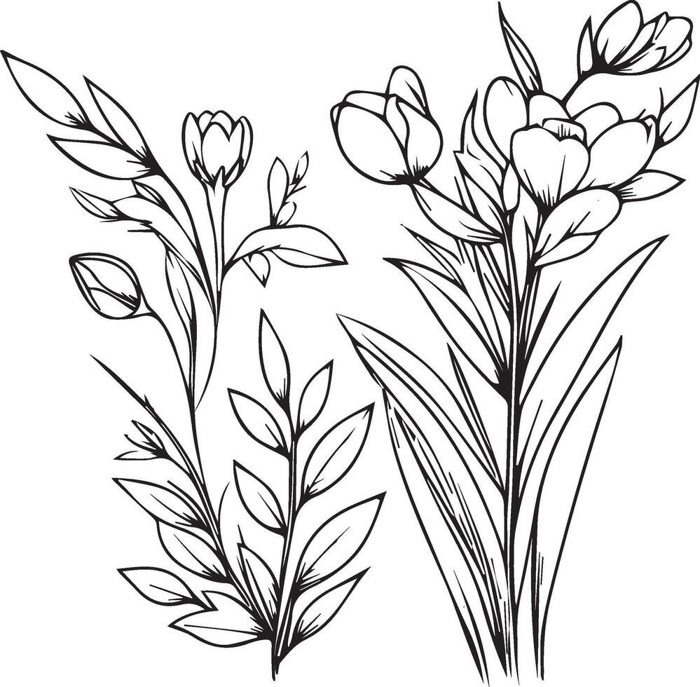 Flowers coloring pages, and book, sketch of spring flowers, Hand drawn spring flowers, botanical leaf bud illustration engraved ink art style. speing flower sketch vector