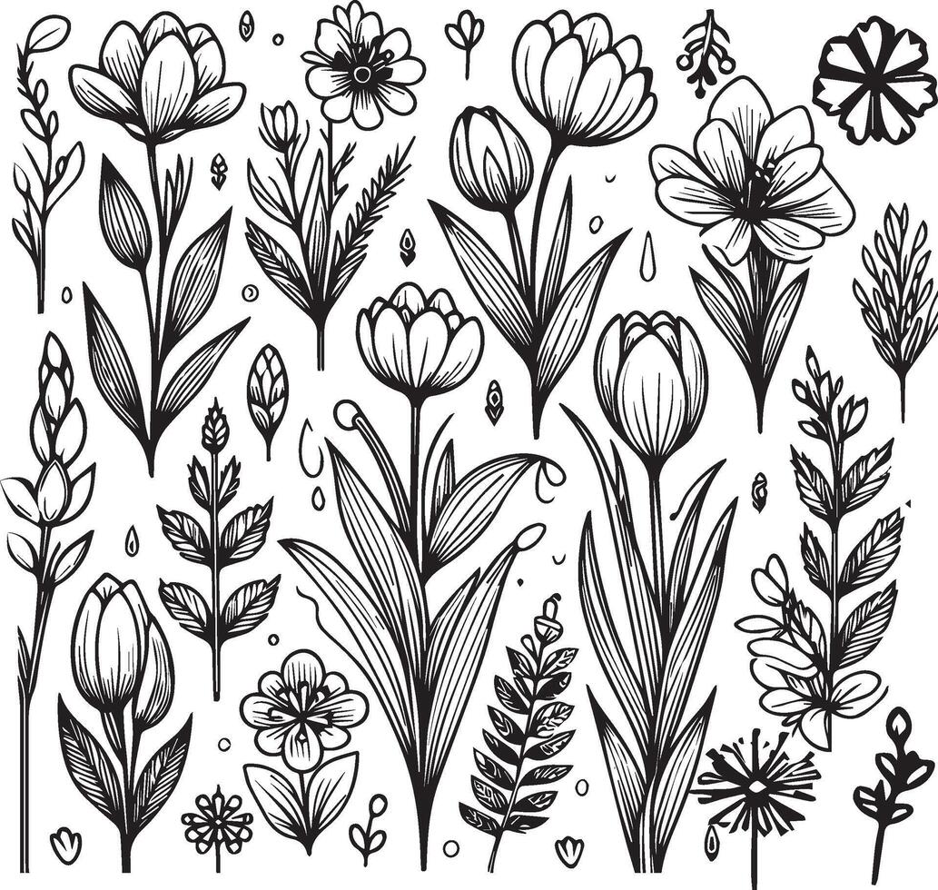 Set of a decorative stylized spring flower isolated on white background. Highly detailed illustration, doodling and tattoo style, tattoo design blossom spring flowers vector