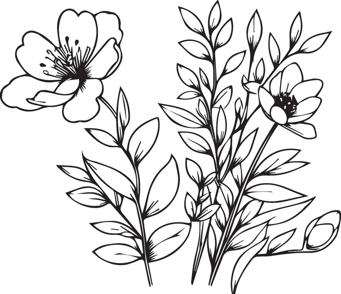 Flower coloring page and books, monochrome sketch, spring flower sketch, spring flower , floral background with spring flower natural leaf collection, illustration pencil art spring vector