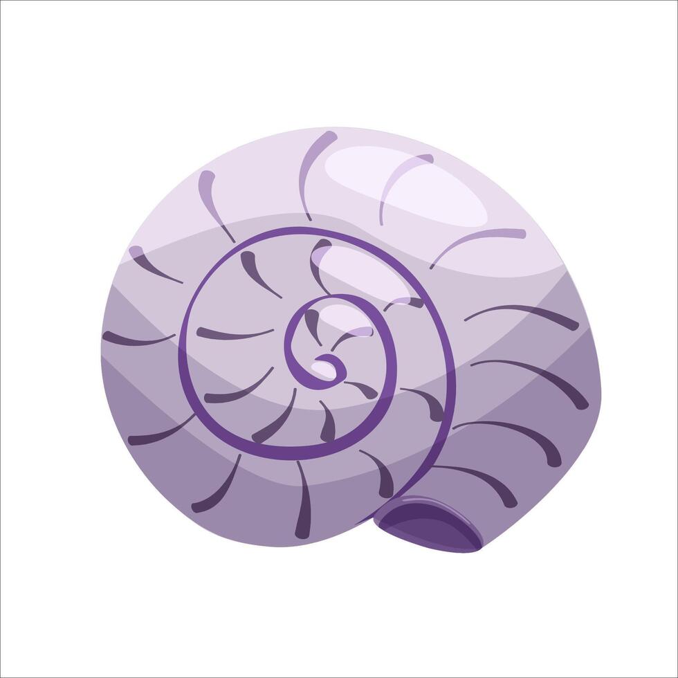 Seashell on the white background. Beach, marine nature. Isolated illustration vector