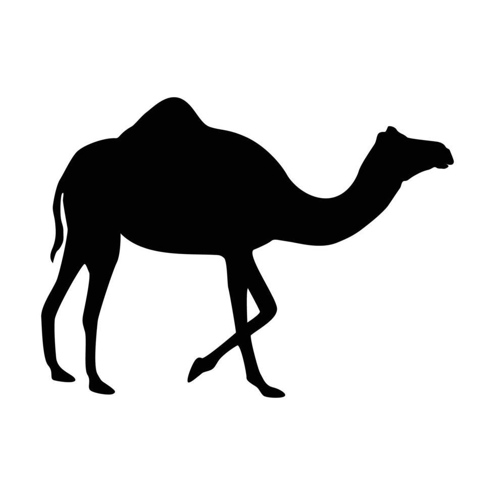 camel silhouette design. desert animal sign and symbol. vector