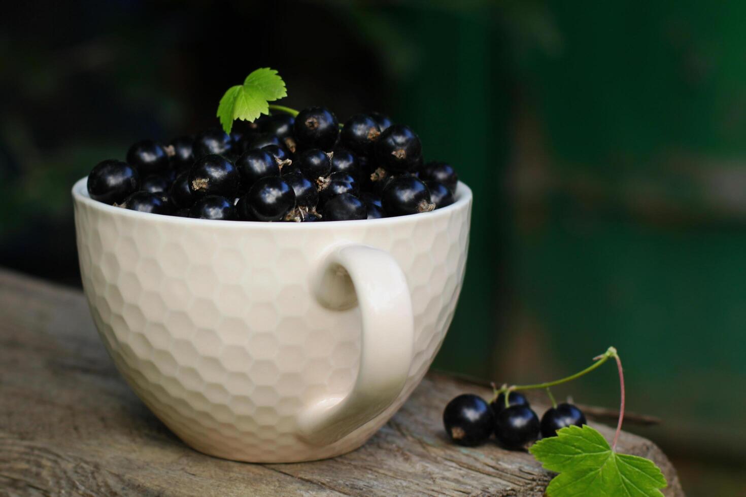 ripe currant on a branch. the concept of growing and harvesting. Fruits growing in an organic garden on a sunny day. photo