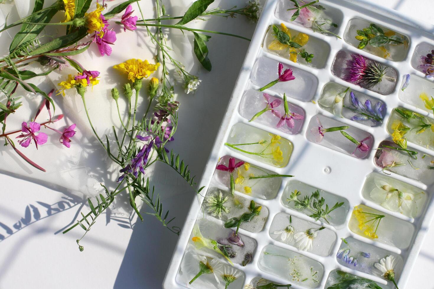 ice mold with frozen flowers. Ice cubes for cooling on a summer day photo