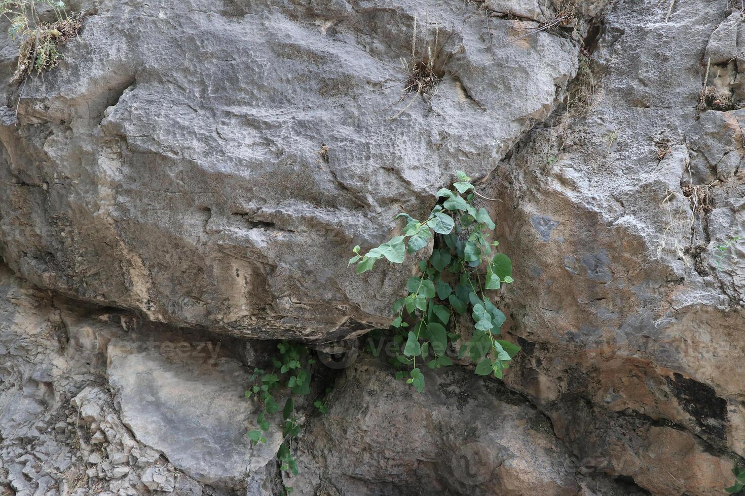Rough rock and stone surface texture photo