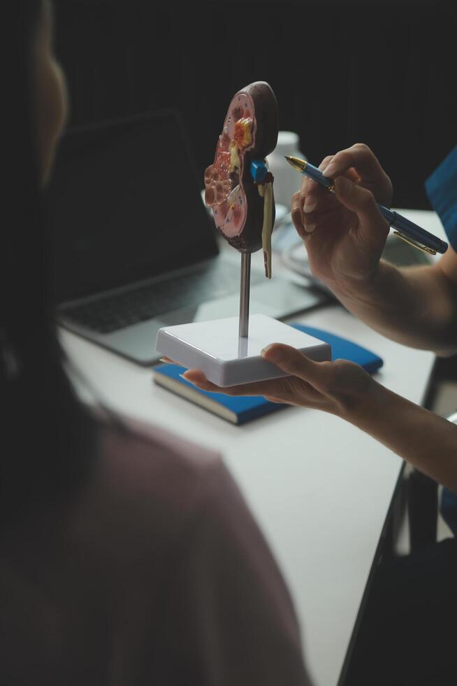 Doctor showing internal organs in 3d human model. Woman with stethoscope in lab coat sitting at table with laptop and talking about people anatomy. Health care and medical education concept. photo