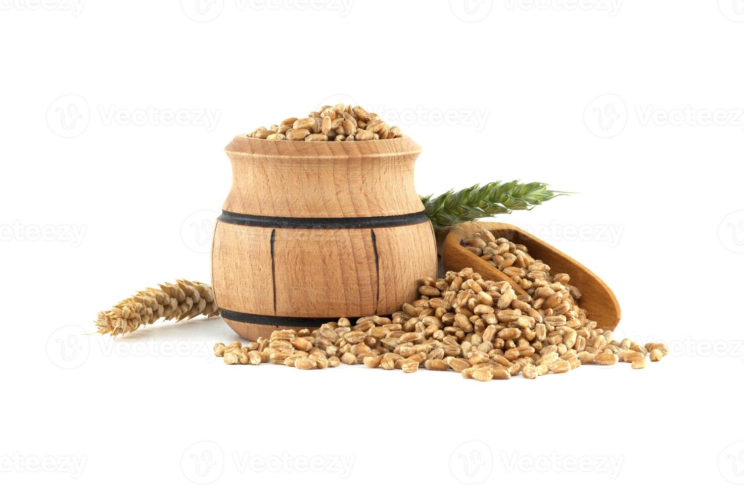 Close-up of a wooden barrel and scooper filled with wheat grains, positioned next to wheat ears isolated on a white background. Perfect for agricultural and food industry themes. photo