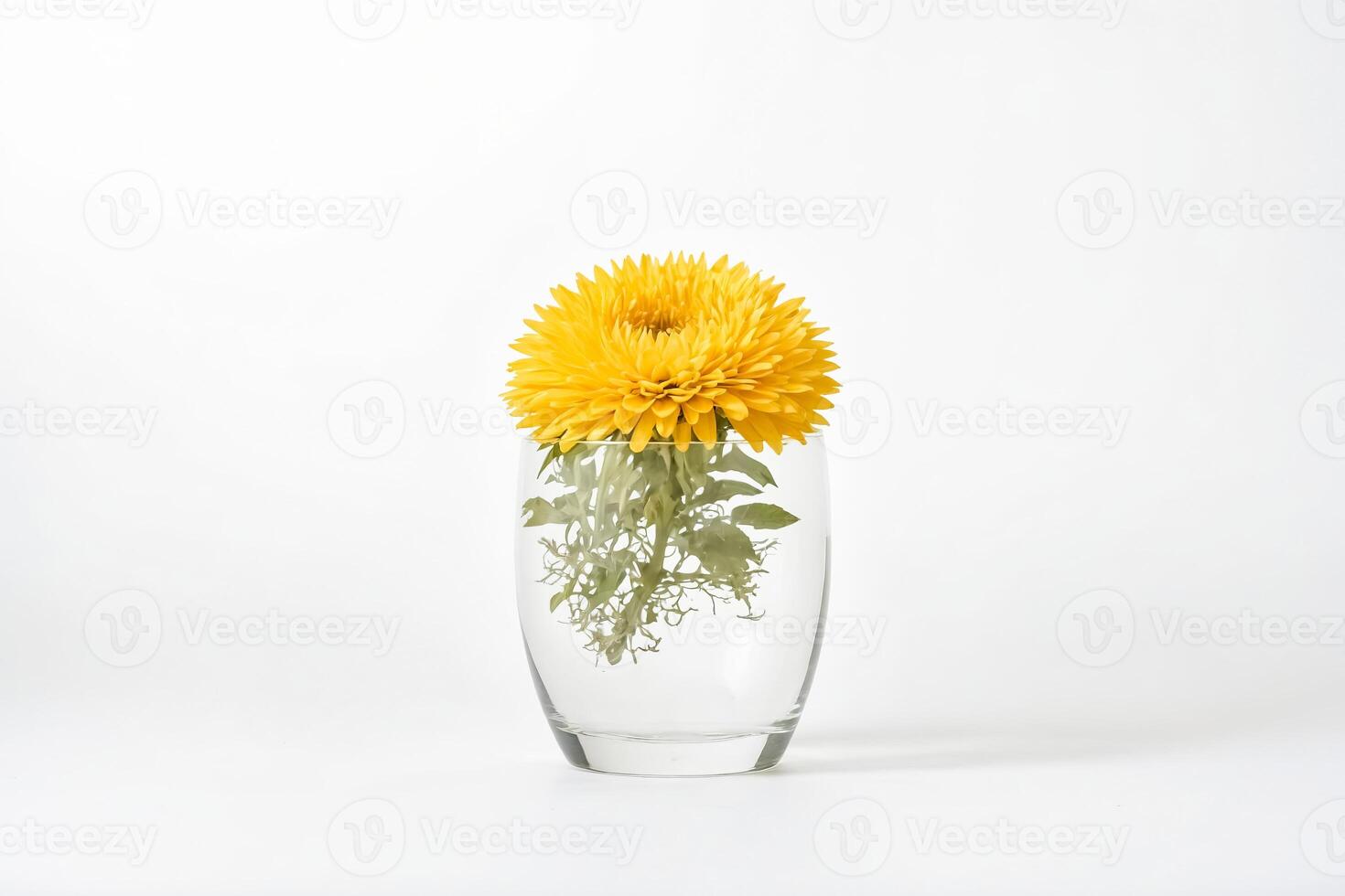 Single Yellow Chrysanthemum in Glass Vase photo