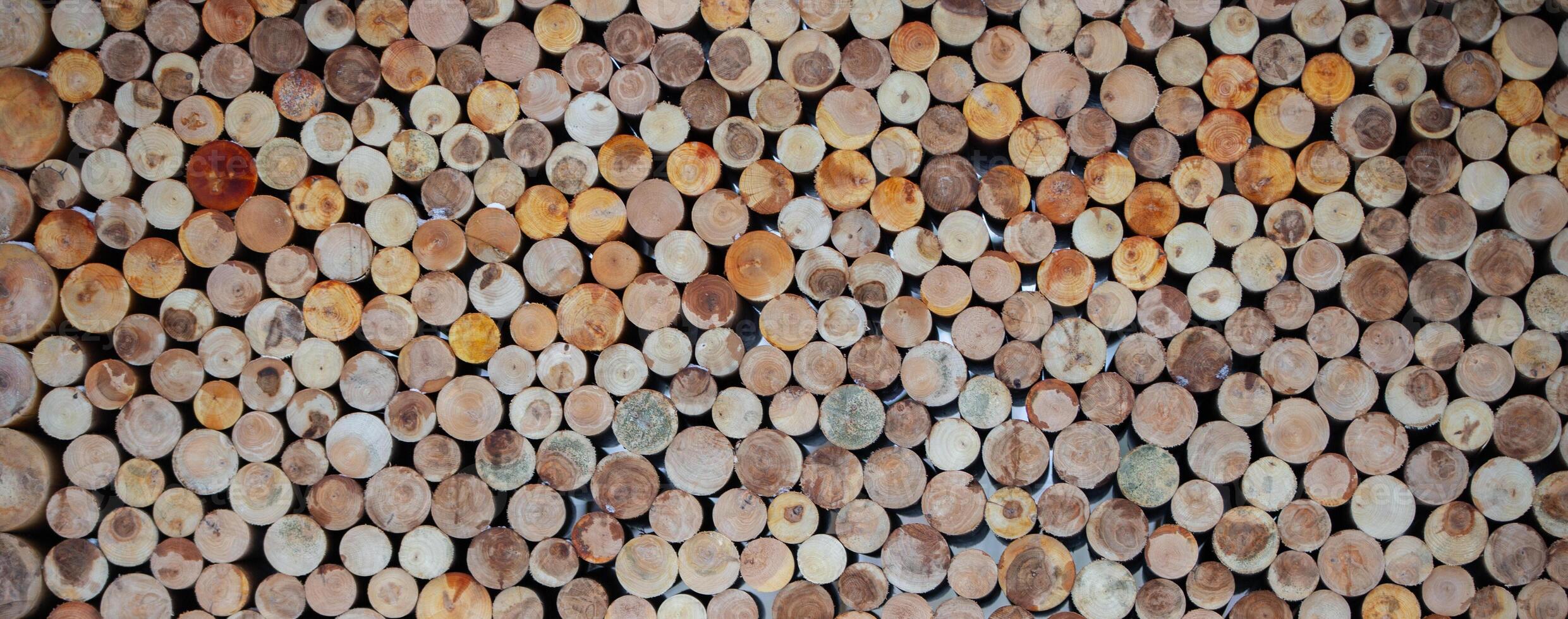 Background of wooden round logs neatly folded. photo