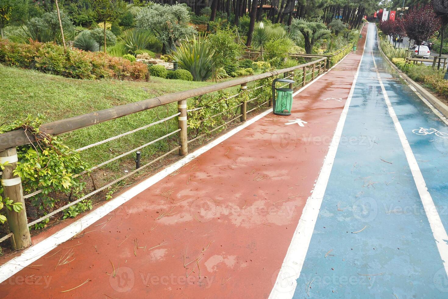 Enjoy jogging and cycling in a colorful park with lush greenery and scenic views photo