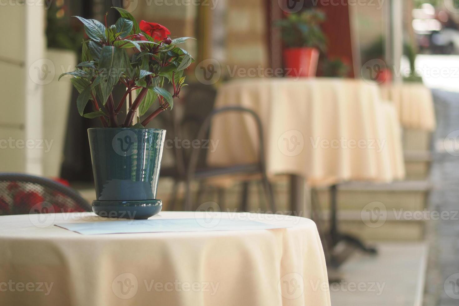 A table in a cozy cafe setting, embellished with a flower arrangement and a bottled beverage photo