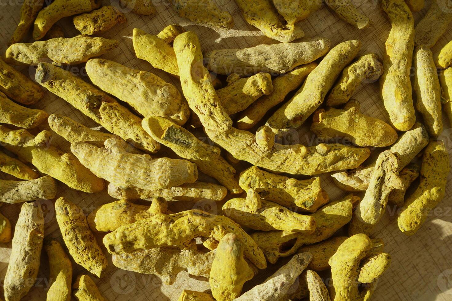 A detailed image captures turmeric roots drying in sunlight, part of the spice production process photo