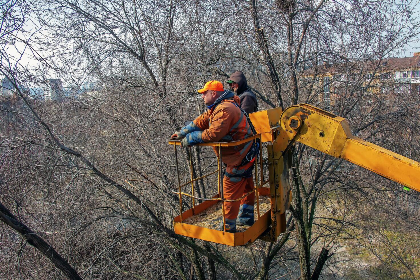 Dnepr, Ukraine - 03.20.2024 Municipal service workers stand with a chainsaw in a crane basket and trim dangerous trees photo