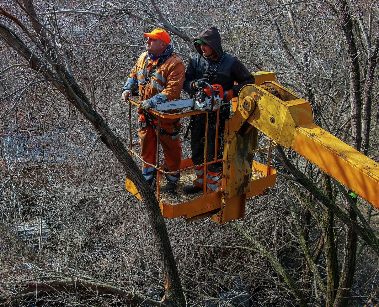Dnepr, Ukraine - 03.20.2024 Municipal service workers stand with a chainsaw in a crane basket and trim dangerous trees photo