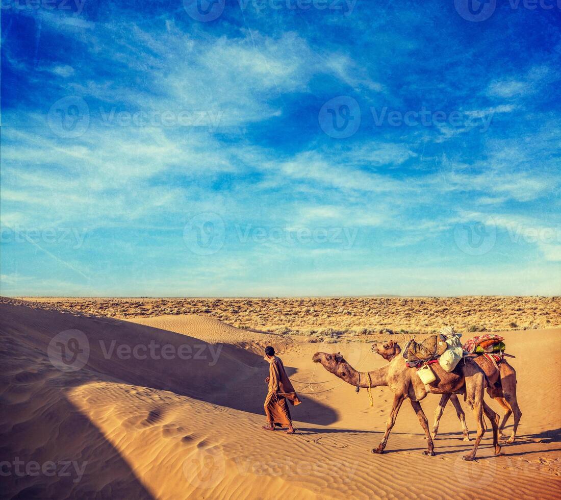 Cameleer camel driver with camels in dunes of Thar desert. Raj photo