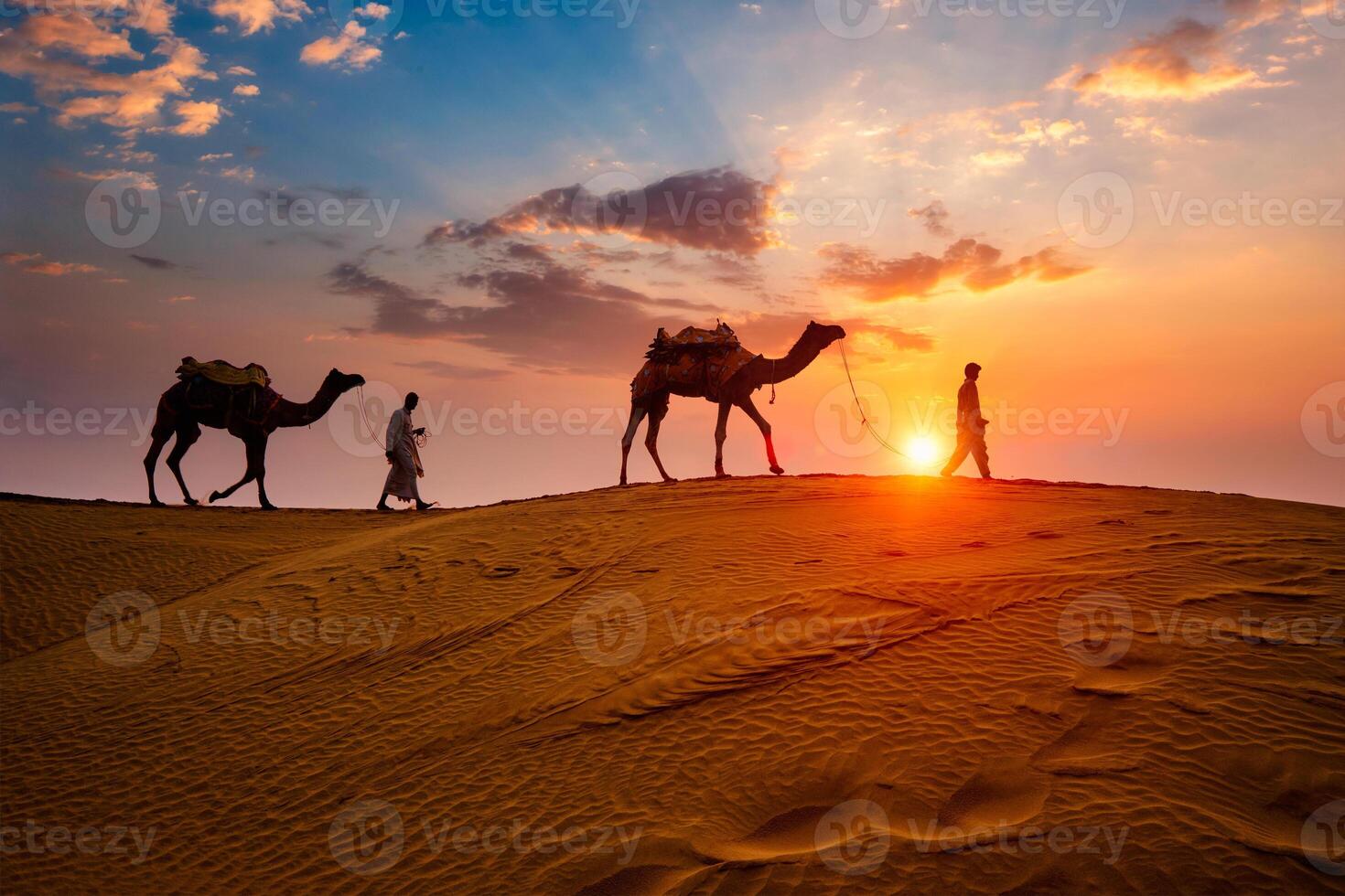 Indian cameleers camel driver with camel silhouettes in dunes on sunset. Jaisalmer, Rajasthan, India photo