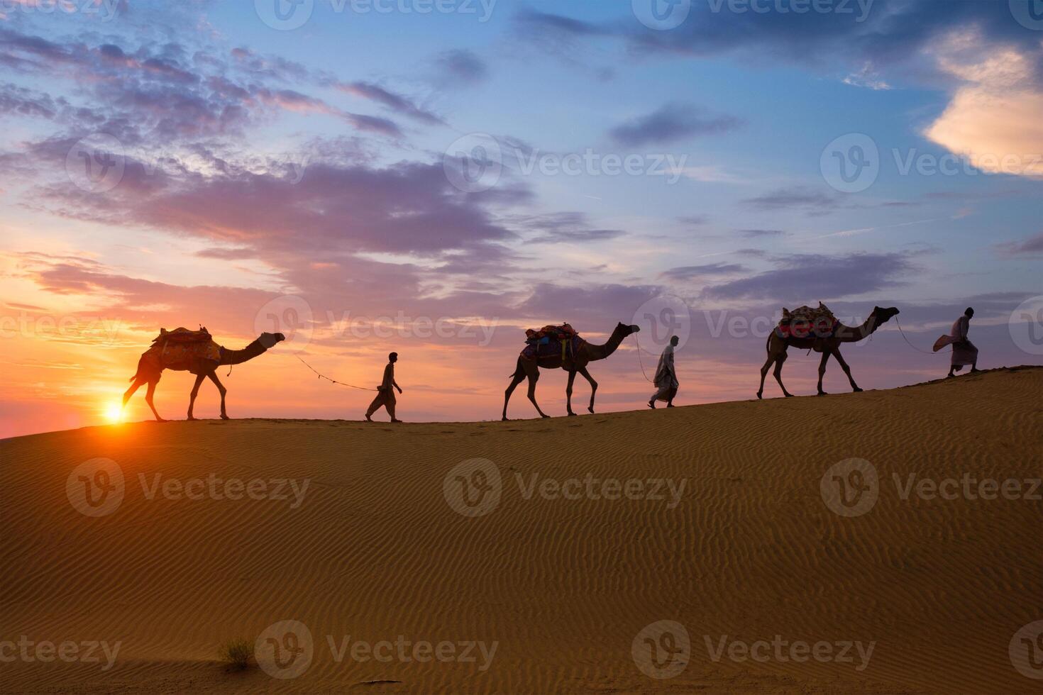 Indian cameleers camel driver with camel silhouettes in dunes on sunset. Jaisalmer, Rajasthan, India photo