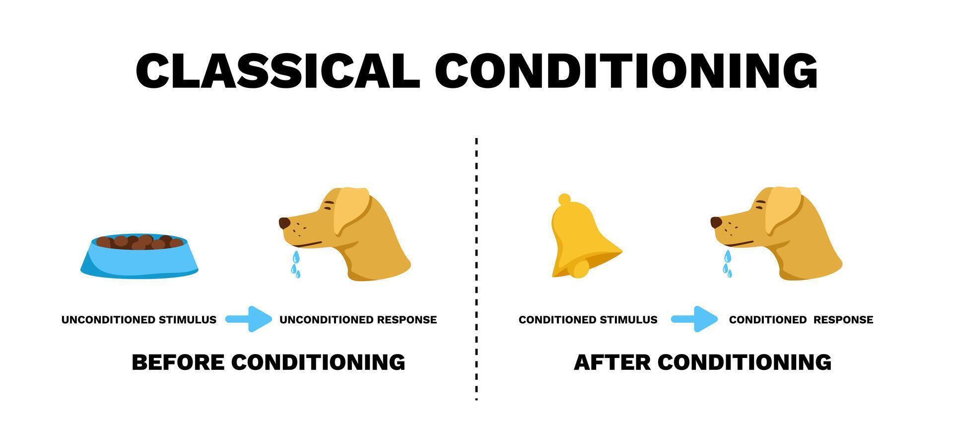 Classical conditioning. Experimental study of reflexes in dogs with