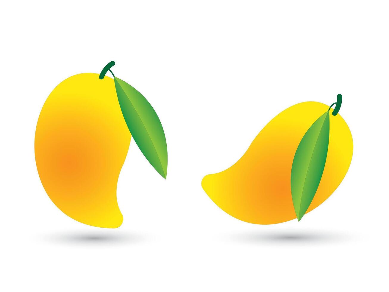 Yellow color ripe mango on white background vector