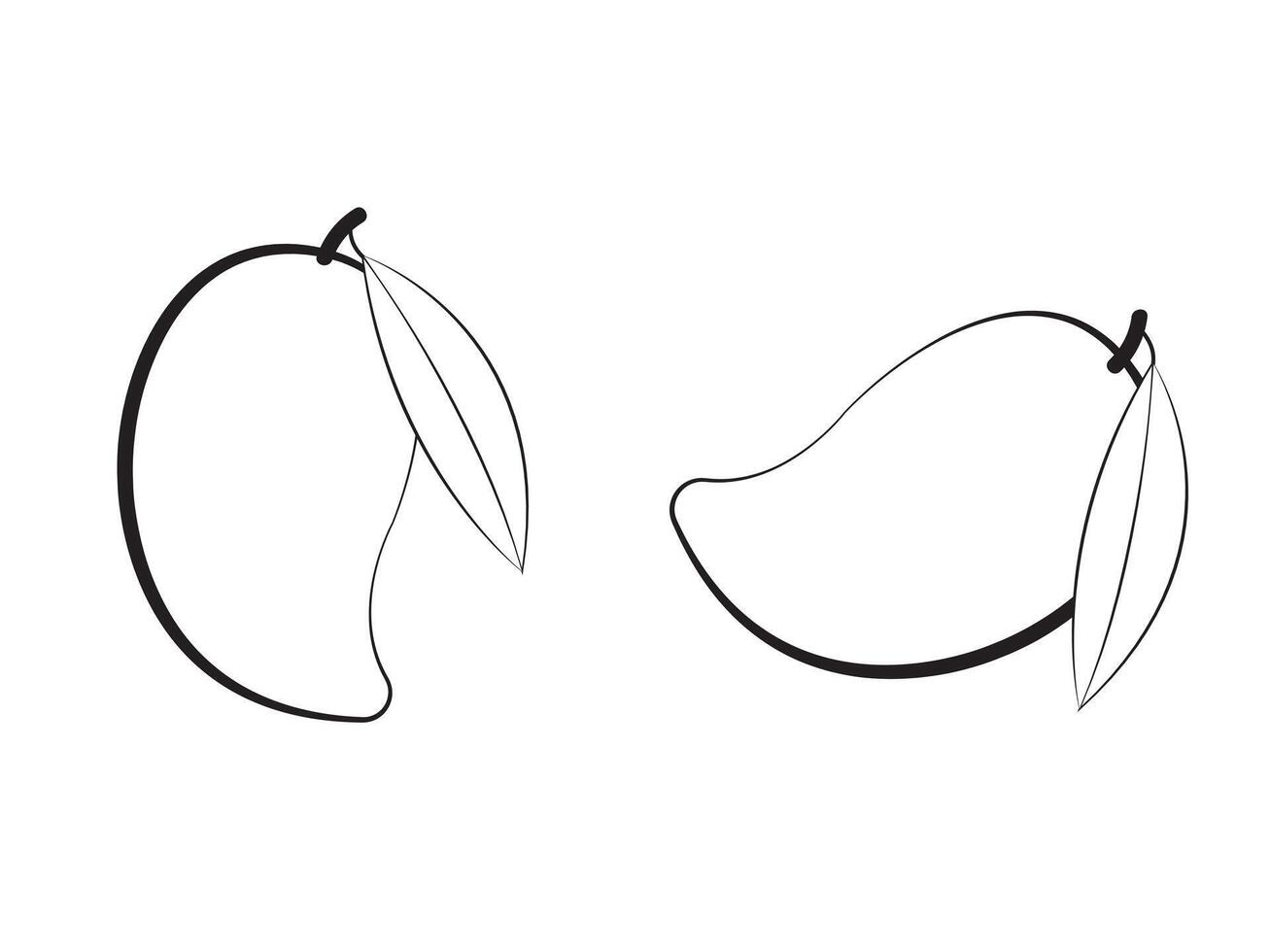 Black and white mango with leaf on white page vector